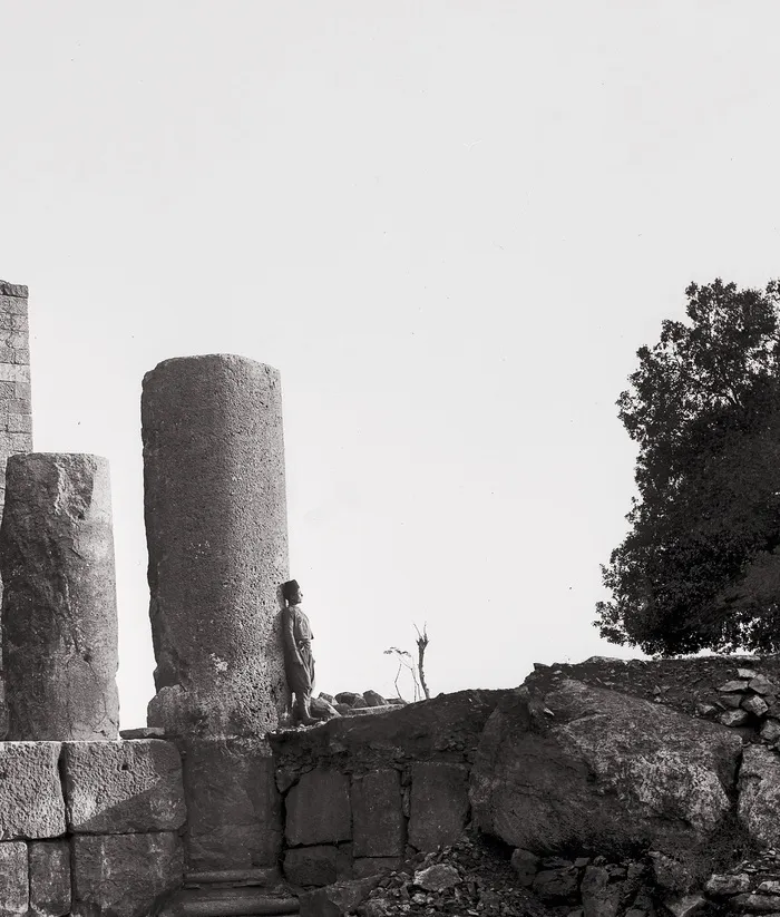 Wheels of war, de Rami Kodeih