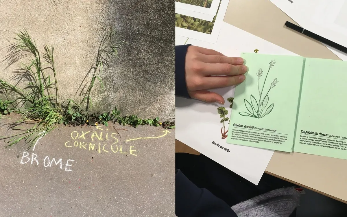 L'Automne de la Science à la Canopée : atelier de graffiti botanique