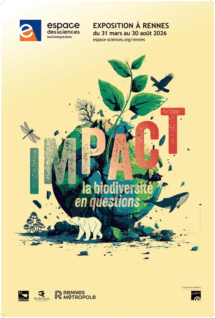Impact
