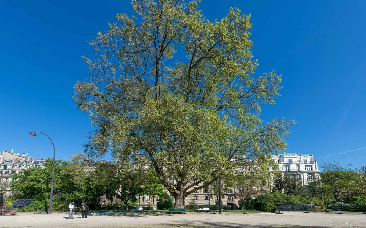 Visite : Les jardins de l'Avenue Foch