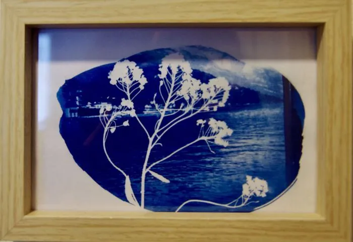 Atelier Cyanotype